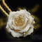 Daiya True Rose项链（新鲜玫瑰）