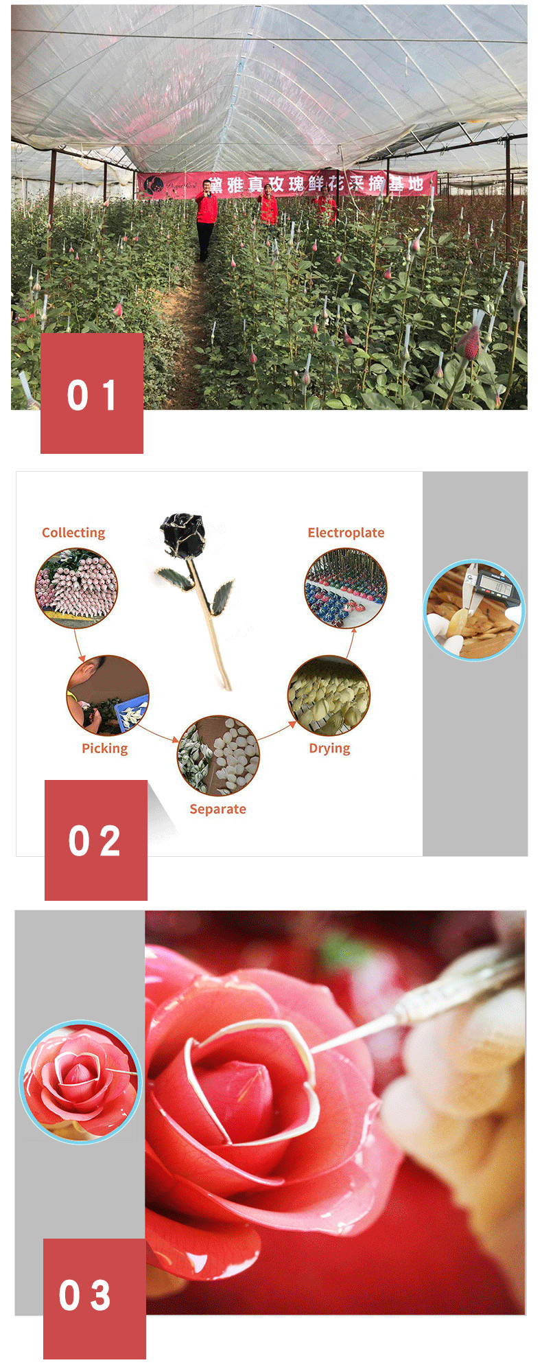 产品细节 - 恢复的 - 恢复的_01